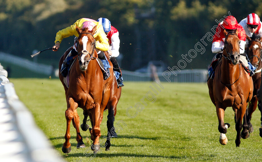 Naughty-Rascal-0005 
 NAUGHTY RASCAL (Tom Marquand) wins The Myddleton & Major Conditions Stakes
Salisbury 3 Oct 2018 - Pic Steven Cargill / Racingfotos.com