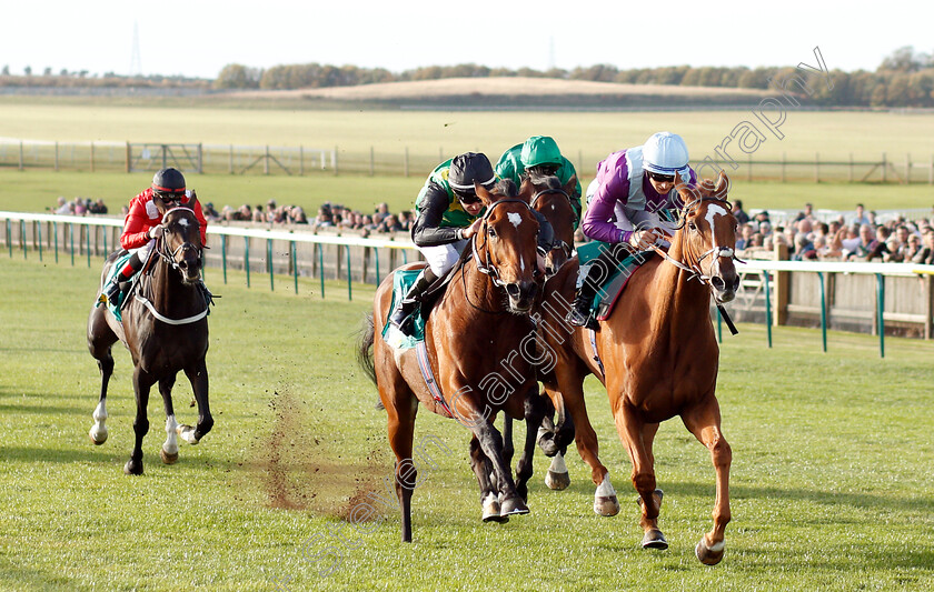 Rock-Eagle-0002 
 ROCK EAGLE (right, Harry Bentley) beats ASTRONOMER (left) in The bet365 Old Rowley Cup Handicap
Newmarket 12 Oct 2018 - Pic Steven Cargill / Racingfotos.com