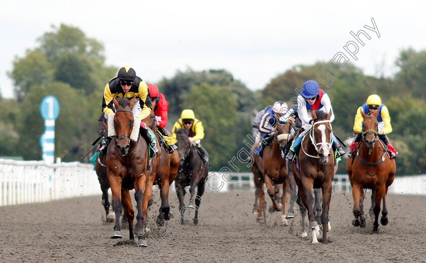 Baashiq-0003 
 BAASHIQ (Adam Kirby) wins The Bet At racingtv.com Handicap
Kempton 7 Aug 2019 - Pic Steven Cargill / Racingfotos.com