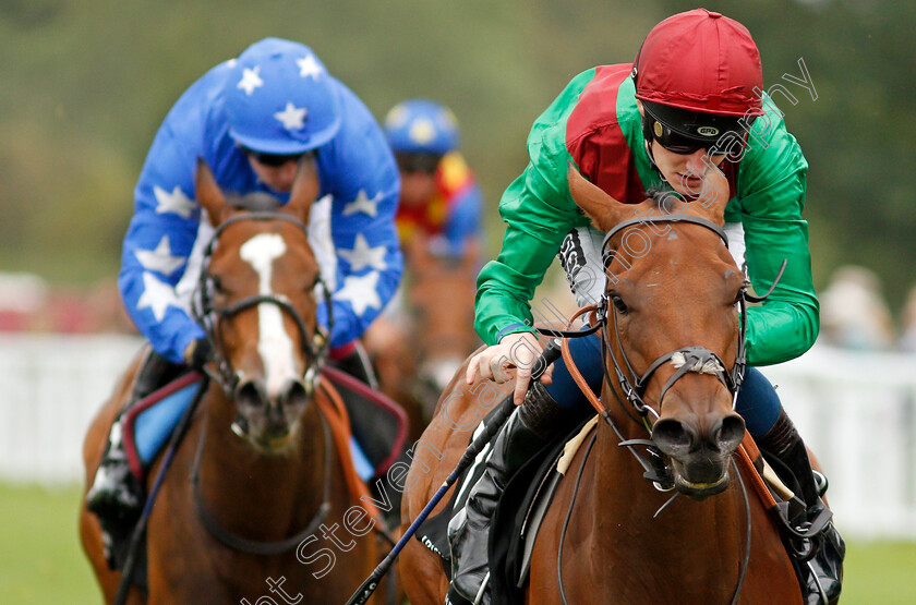 Pearl-Glory-0002 
 PEARL GLORY (Daniel Muscutt)
Salisbury 2 Sep 2021 - Pic Steven Cargill / Racingfotos.com