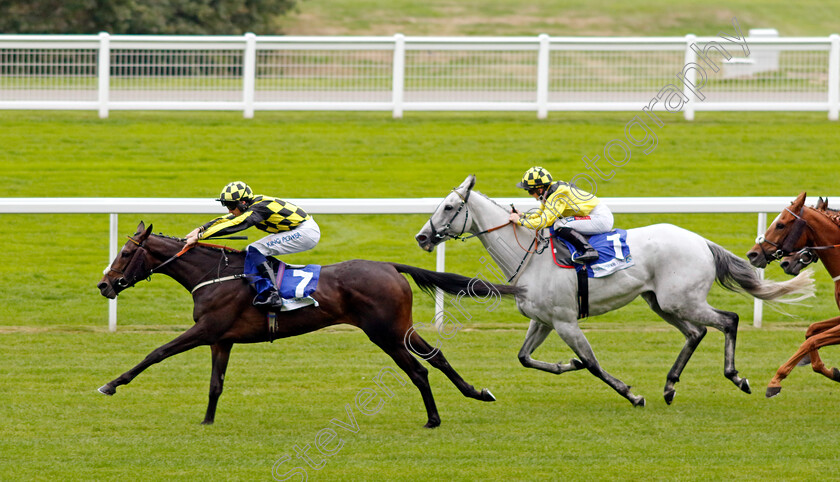 Malakahna-0001 
 MALAKAHNA (Callum Hutchinson) wins The Londonmetric Handicap
Ascot 30 Sep 2022 - Pic Steven Cargill / Racingfotos.com