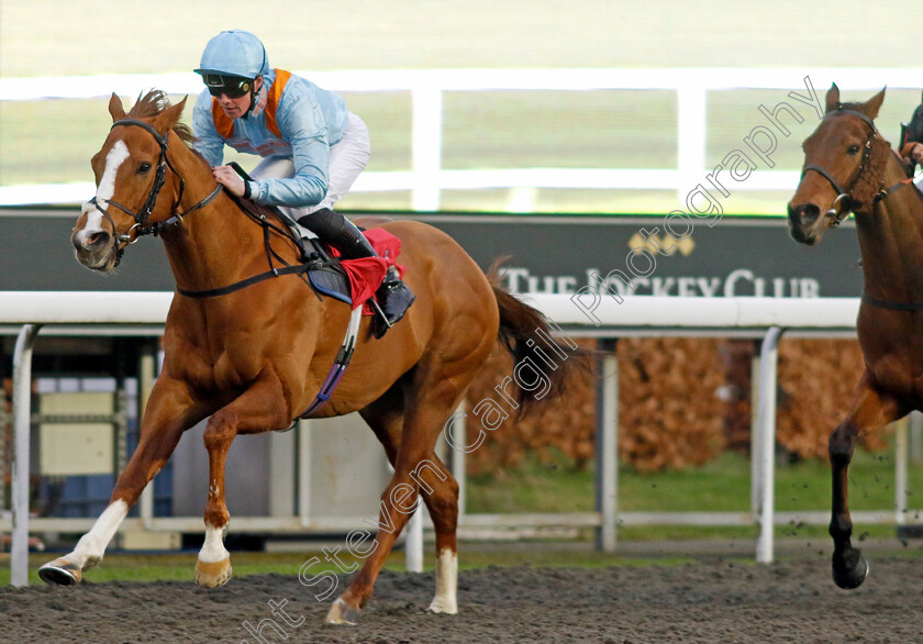 How-Impressive-0003 
 HOW IMPRESSIVE (Brandon Wilkie) wins The Unibet More Boosts In More Races Apprentice Handicap
Kempton 14 Feb 2024 - Pic Steven Cargill / Racingfotos.com