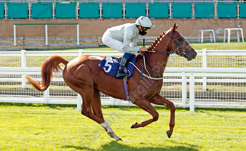 Mihrab-0001 
 MIHRAB (William Buick)
Yarmouth 25 Aug 2020 - Pic Steven Cargill / Racingfotos.com