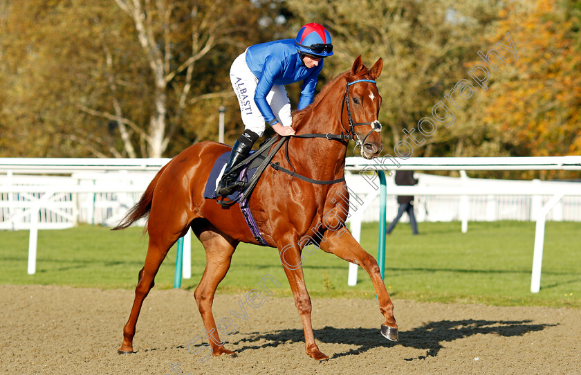 Kestenna 
 KESTENNA (Ryan Moore)
Lingfield 28 Oct 2021 - Pic Steven Cargill / Raingfotos.com