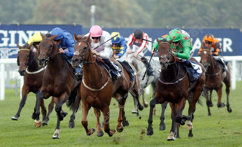 What-A-Welcome-0001 
 WHAT A WELCOME (centre, Joey Haynes) beats NEVER SURRENDER (right) in The Canaccord Genuity Gordon Carter Handicap
Ascot 5 Oct 2018 - Pic Steven Cargill / Racingfotos.com