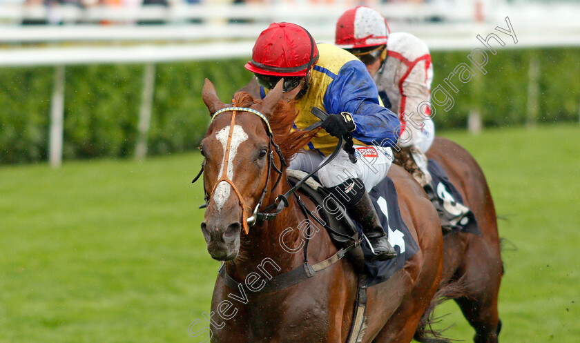 Rhythmic-Intent-0003 
 RHYTHMIC INTENT (Hollie Doyle) wins The racehorselotto.com Mallard Handicap
Doncaster 10 Sep 2021 - Pic Steven Cargill / Racingfotos.com