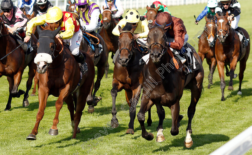 Celsius-0002 
 CELSIUS (left, P J McDonald) beats MERCENARY ROSE (right) in The Tatler Handicap
Goodwood 1 Aug 2019 - Pic Steven Cargill / Racingfotos.com