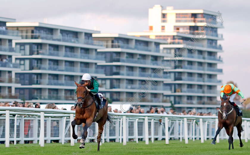 Stonking-0005 
 STONKING (Hector Crouch) wins The Rayner Bosch Car Service Handicap
Newbury 27 Jul 2023 - Pic Steven Cargill / Racingfotos.com