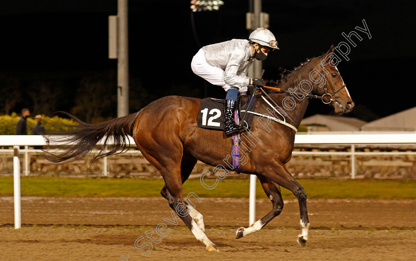 Silk-Lace-0001 
 SILK LACE (William Buick)
Chelmsford 15 Oct 2020 - Pic Steven Cargill / Racingfotos.com