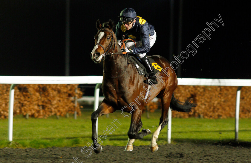 Highbrow-0004 
 HIGHBROW (Jamie Spencer) wins The Matchbook VIP Novice Stakes Div2 Kempton 13 Dec 2017 - Pic Steven Cargill / Racingfotos.com