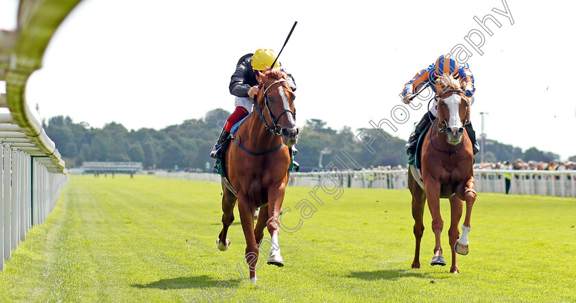 Stradivarius-0003 
 STRADIVARIUS (Frankie Dettori) beats IL PARADISO (right) in The Weatherbys Hamilton Lonsdale Cup
York 23 Aug 2019 - Pic Steven Cargill / Racingfotos.com