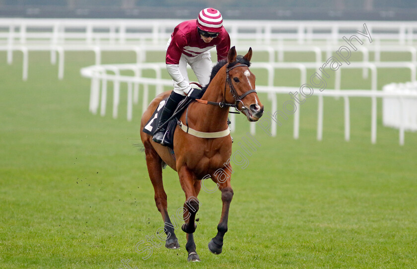 Moutarde-0001 
 MOUTARDE (Harry Cobden)
Ascot 18 Jan 2025 - Pic Steven Cargill / Racingfotos.com