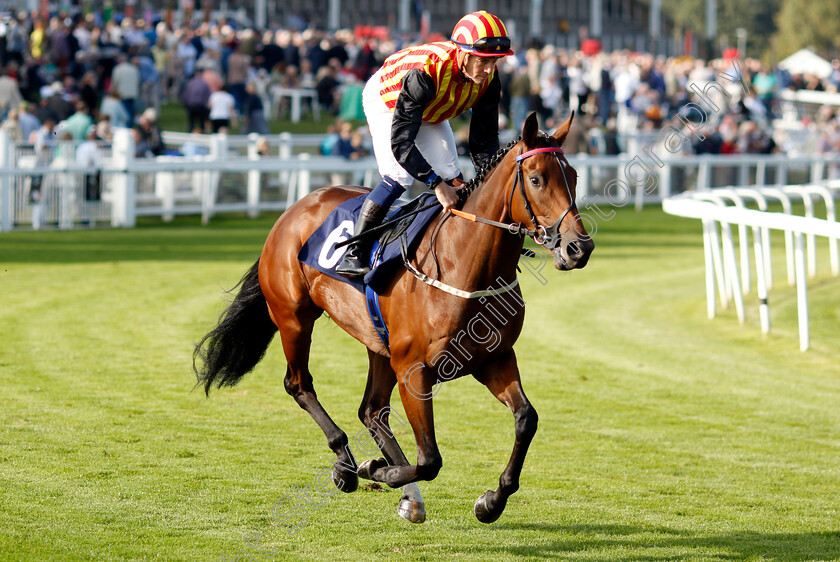 Making-Dreams-0001 
 MAKING DREAMS (Jim Crowley)
Yarmouth 18 Sep 2024 - Pic Steven Cargill / Racingfotos.com