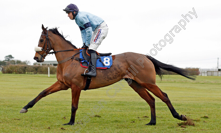 Danse-Idol-0005 
 DANSE IDOL (Lorcan Williams)
Wincanton 30 Jan 2020 - Pic Steven Cargill / Racingfotos.com