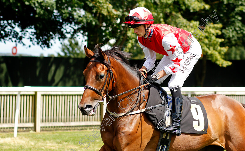 La-Belle-Vie-0002 
 LA BELLE VIE (Sean Kirrane)
Newmarket 7 Aug 2021 - Pic Steven Cargill / Racingfotos.com