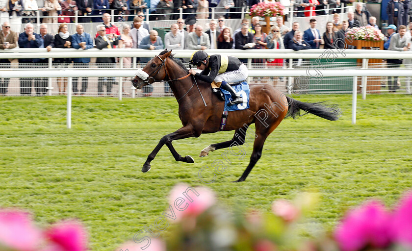 Urban-Aspect-0002 
 URBAN ASPECT (Oisin Murphy) wins The Nationwide Accident Repair Services Handicap
York 24 Aug 2018 - Pic Steven Cargill / Racingfotos.com