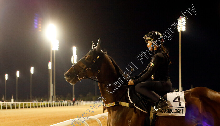 The-Astrologist-0002 
 THE ASTROLOGIST training for the Al Quoz Sprint
Meydan, Dubai, 23 Mar 2023 - Pic Steven Cargill / Racingfotos.com