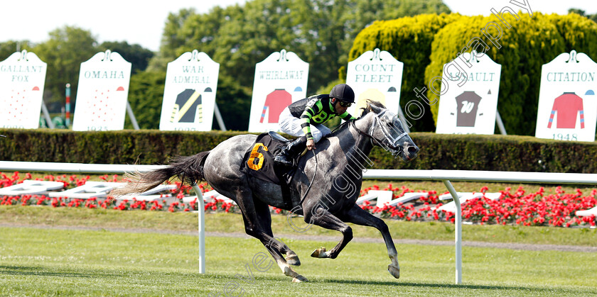 Bird s-Eye-View-0003 
 BIRD'S EYE VIEW (Jose Lezcano) wins Allowance Optional Claimer
Belmont Park 7 Jun 2018 - Pic Steven Cargill / Racingfotos.com