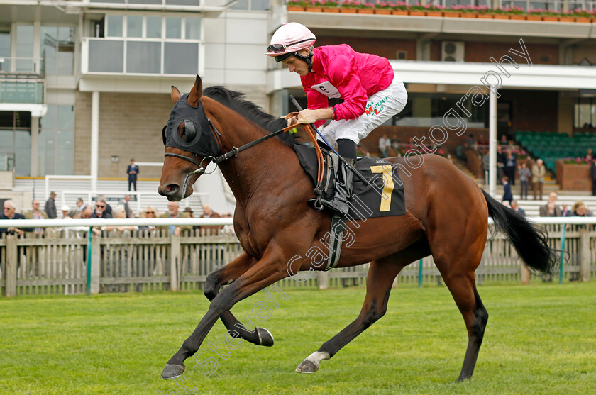 Centurion-Dream-0001 
 CENTURION DREAM (Finley Marsh)
Newmarket 28 Sep 2023 - Pic Steven Cargill / Racingfotos.com