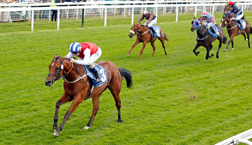 Explicit-0002 
 EXPLICIT (Connor Beasley) wins The SKF Rous Selling Stakes
York 10 Jun 2022 - Pic Steven Cargill / Racingfotos.com