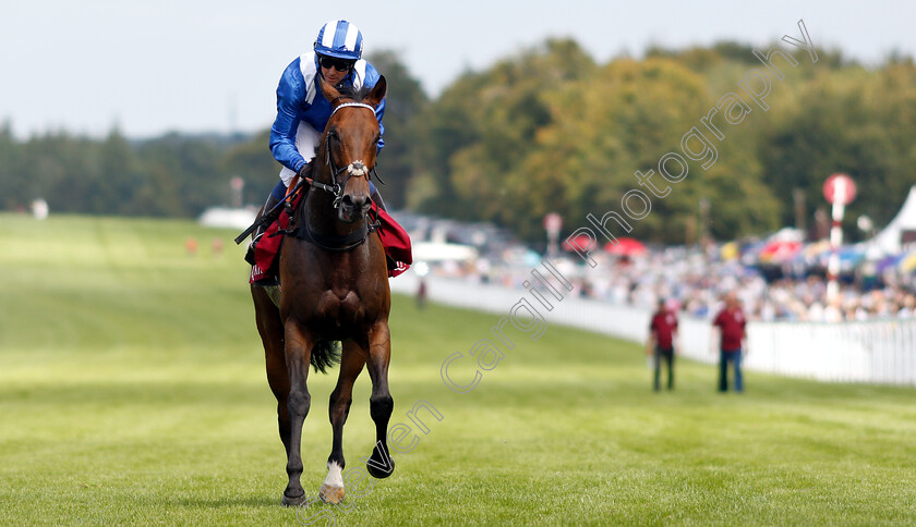 Battaash-0013 
 BATTAASH (Jim Crowley) after The King George Qatar Stakes
Goodwood 2 Aug 2019 - Pic Steven Cargill / Racingfotos.com