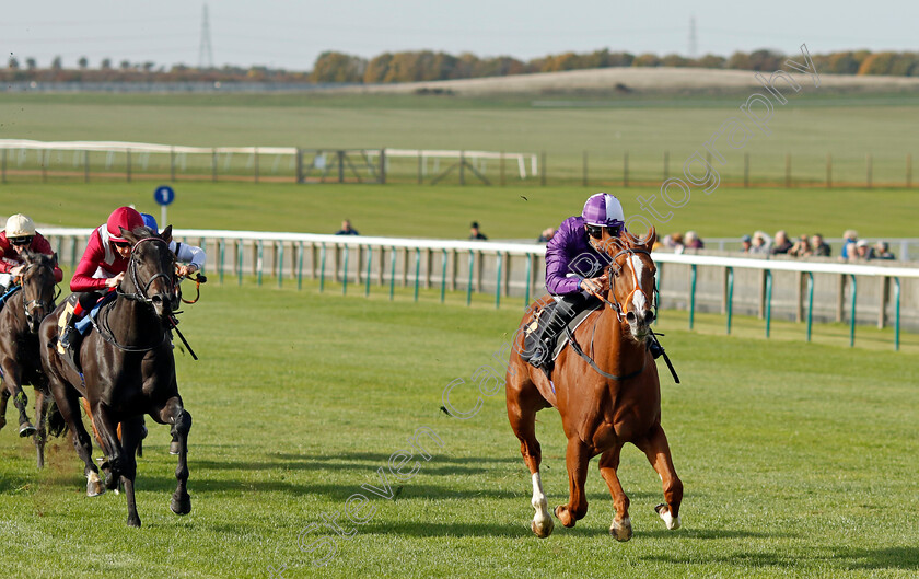 Mammas-Girl-0004 
 MAMMAS GIRL (Sean Levey) wins The Discover Newmarket Fillies Restricted Novice Stakes Div2
Newmarket 19 Oct 2022 - Pic Steven Cargill / Racingfotos.com