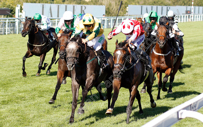 Lord-Riddiford-0001 
 LORD RIDDIFORD (left, Jason Hart) beats MARNIE JAMES (right) in The Tatler Handicap
Goodwood 2 Aug 2018 - Pic Steven Cargill / Racingfotos.com