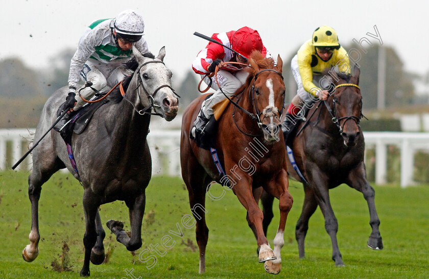 Berkshire-Rocco-0006 
 BERKSHIRE ROCCO (centre, Oisin Murphy) beats ALBAFLORA (left) in The Teentech Noel Murless Stakes
Ascot 2 Oct 2020 - Pic Steven Cargill / Racingfotos.com