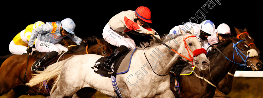 Tie-A-Yellowribbon-0005 
 TIE A YELLOWRIBBON (Ray Dawson) wins The chelmsfordcityracecourse.com Handicap Div1
Chelmsford 15 Oct 2020 - Pic Steven Cargill / Racingfotos.com