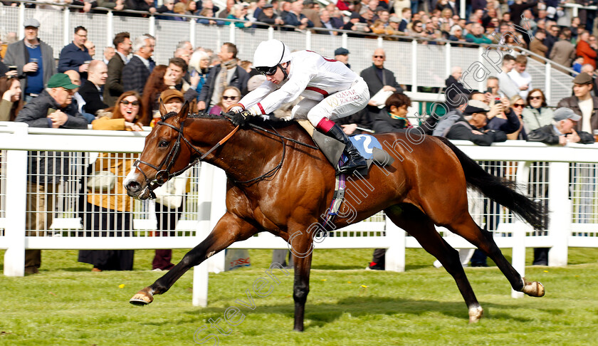 Kadovar-0003 
 KADOVAR (Oisin Murphy) wins The Stephen Wallis Novice Stakes
Epsom 25 Apr 2023 - Pic Steven Cargill / Racingfotos.com