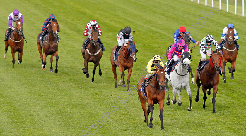 Aristocratic-Lady-0004 
 ARISTOCRATIC LADY (Andrea Atzeni) wins The Sky Sports Racing Sky 415 Handicap
Yarmouth 15 Jul 2020 - Pic Steven Cargill / Racingfotos.com