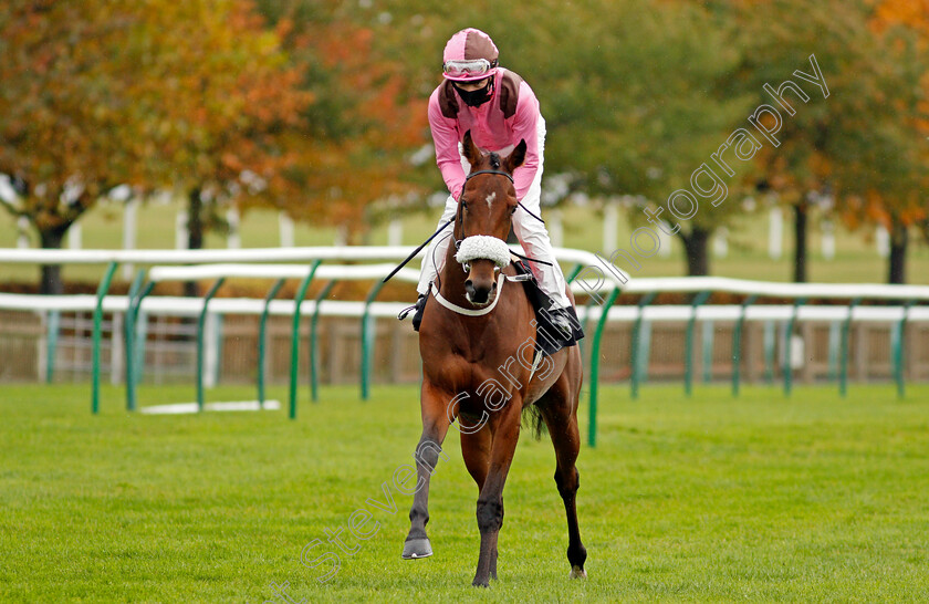 Scoop-0001 
 SCOOP (Rob Hornby)
Newmarket 21 Oct 2020 - Pic Steven Cargill / Racingfotos.com