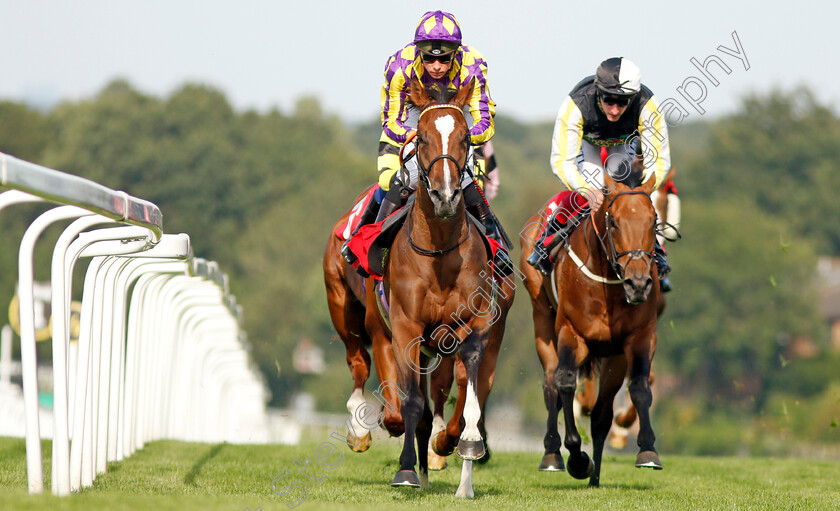 Skyman-0009 
 SKYMAN (Jason Watson) wins The Betway Live Casino Handicap
Sandown 30 Aug 2019 - Pic Steven Cargill / Racingfotos.com