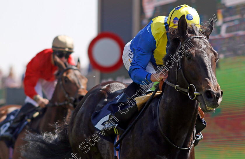 Never-So-Brave-0001 
 NEVER SO BRAVE (Ryan Moore) wins The Halliwell Jones Handicap
Chester 9 May 2024 - Pic Steven Cargill / Racingfotos.com