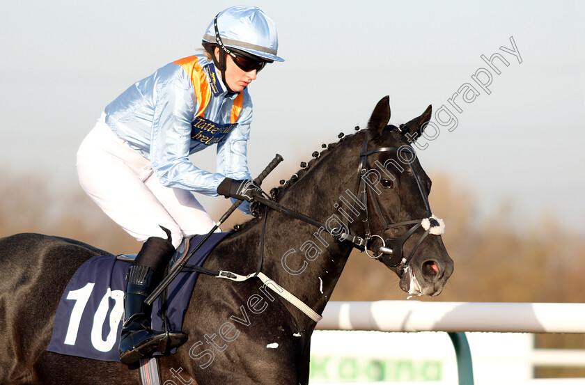 George-Hastings-0002 
 GEORGE HASTINGS (Rhona Pindar)
Southwell 11 Dec 2018 - Pic Steven Cargill / Racingfotos.com