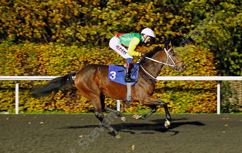 Eyetrap-0001 
 EYETRAP (David Egan)
Kempton 16 Nov 2022 - Pic Steven Cargill / Racingfotos.com