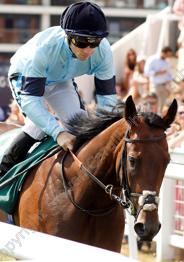 Snazzy-0001 
 SNAZZY (Stevie Donohoe)
Newbury 21 Jul 2018 - Pic Steven Cargill / Racingfotos.com