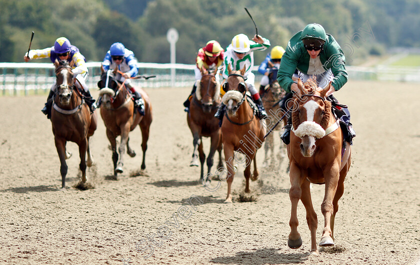 American-Patrol-0003 
 AMERICAN PATROL (Adam Kirby) wins The 188bet Mobile Selling Handicap
Lingfield 25 Jul 2018 - Pic Steven Cargill / Racingfotos.com