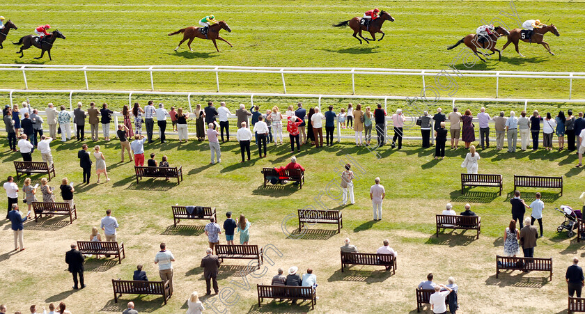 Exec-Chef-0001 
 EXEC CHEF (Pat Cosgrave) wins The Christopher Smith Associates Handicap
Newbury 17 Aug 2018 - Pic Steven Cargill / Racingfotos.com