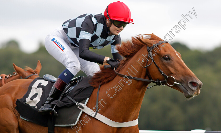 Torcello-0006 
 TORCELLO (Elisha Whittington) wins The Energy Check Handicap Div2
Newbury 17 Aug 2019 - Pic Steven Cargill / Racingfotos.com