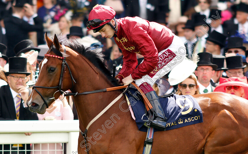 Exclusviely-0001 
 EXCLUSIVELY (Oisin Murphy)
Royal Ascot 21 Jun 2019 - Pic Steven Cargill / Racingfotos.com