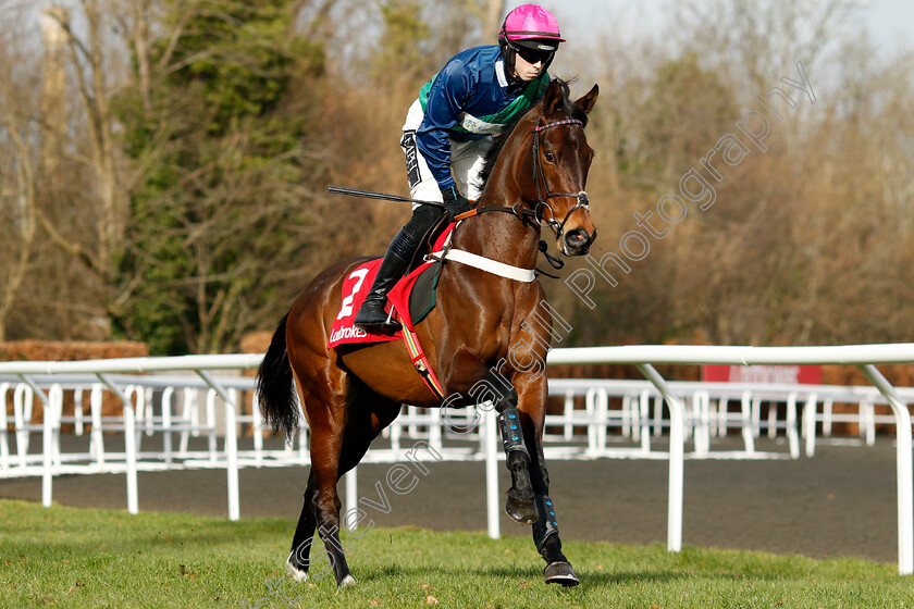 St-Pancras-0002 
 ST PANCRAS (Kevin Brogan)
Kempton 22 Feb 2025 - Pic Steven Cargill / Racingfotos.com