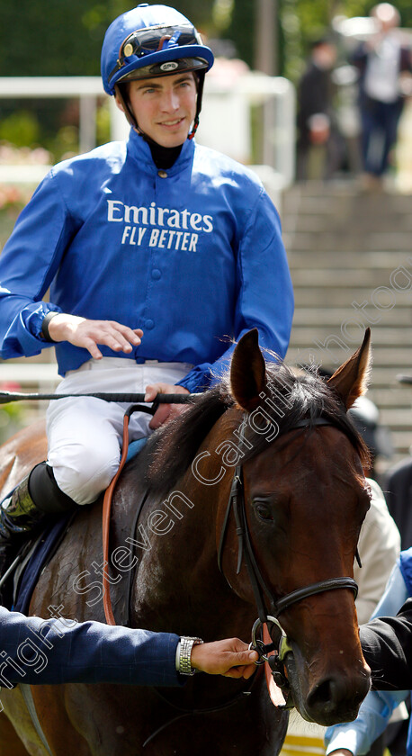 Pinatubo-0010 
 PINATUBO (James Doyle) after The Chesham Stakes
Royal Ascot 22 Jun 2019 - Pic Steven Cargill / Racingfotos.com