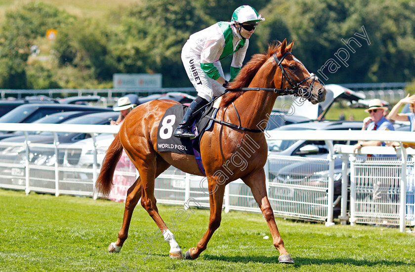 Wolf-Of-Badenoch-0001 
 WOLF OF BADENOCH (Jamie Spencer)
Goodwood 30 Jul 2024 - Pic Steven Cargill / Racingfotos.com