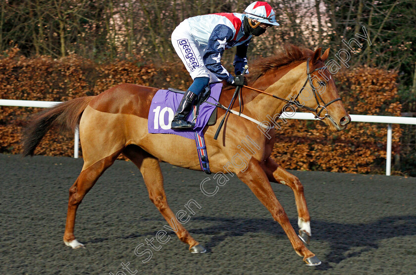 Pirouette-Queen-0001 
 PIROUETTE QUEEN (David Probert)
Kempton 3 Feb 2021 - Pic Steven Cargill / Racingfotos.com