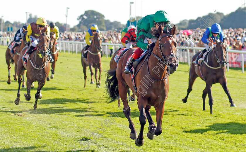 Forest-Of-Dean-0003 
 FOREST OF DEAN (Frankie Dettori) wins The Sky Bet Handicap
York 24 Aug 2019 - Pic Steven Cargill / Racingfotos.com