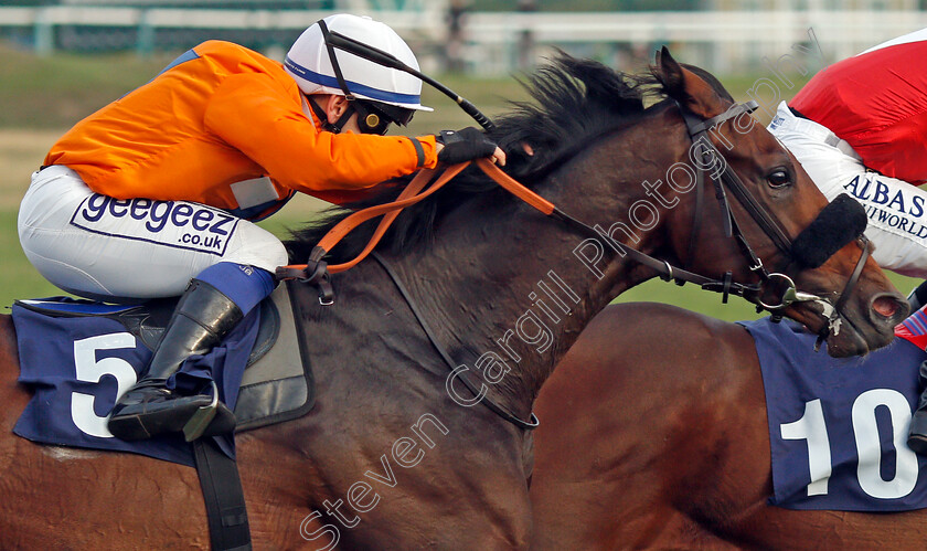 Prydwen-0004 
 PRYDWEN (Marco Ghiani) wins The Cazoo Search Drive Smile Handicap
Yarmouth 19 Oct 2021 - Pic Steven Cargill / Racingfotos.com