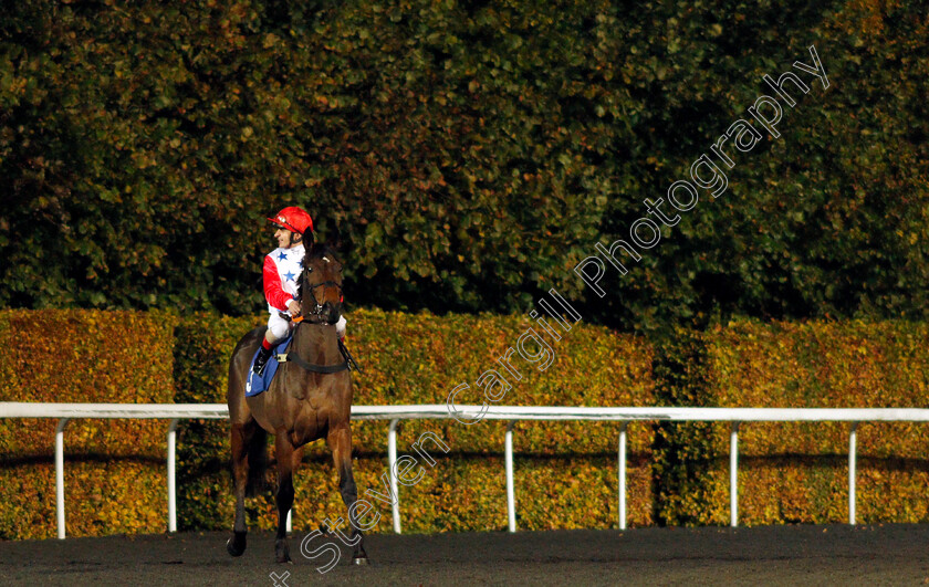 Galata-Bridge-0001 
 GALATA BRIDGE (Andrea Atzeni)
Kempton 10 Nov 2021 - Pic Steven Cargill / Racingfotos.com