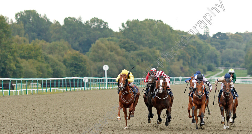 Qaaddim-0002 
 QAADDIM (left, Andrea Atzeni) beats PITCHCOMBE (2nd left) HEXAGON (2nd right) and DRAMATIC SANDS (right) in The Shard Solutions And Origin Nursery
Lingfield 3 Oct 2019 - Pic Steven Cargill / Racingfotos.com