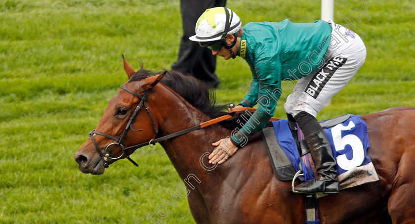 Hereby-0006 
 HEREBY (Harry Bentley) wins The Londonmetric Noel Murless Stakes
Ascot 4 Oct 2019 - Pic Steven Cargill / Racingfotos.com